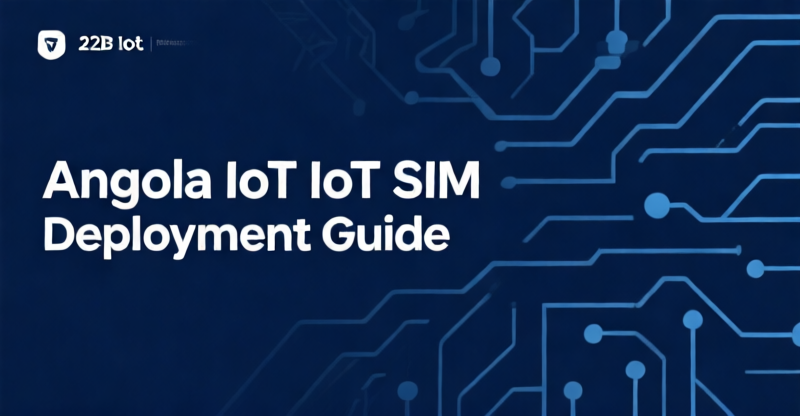 Angola IoT SIM Deployment: Regulatory, Carrier, and eSIM Compliance for 1,000-Device Fleets